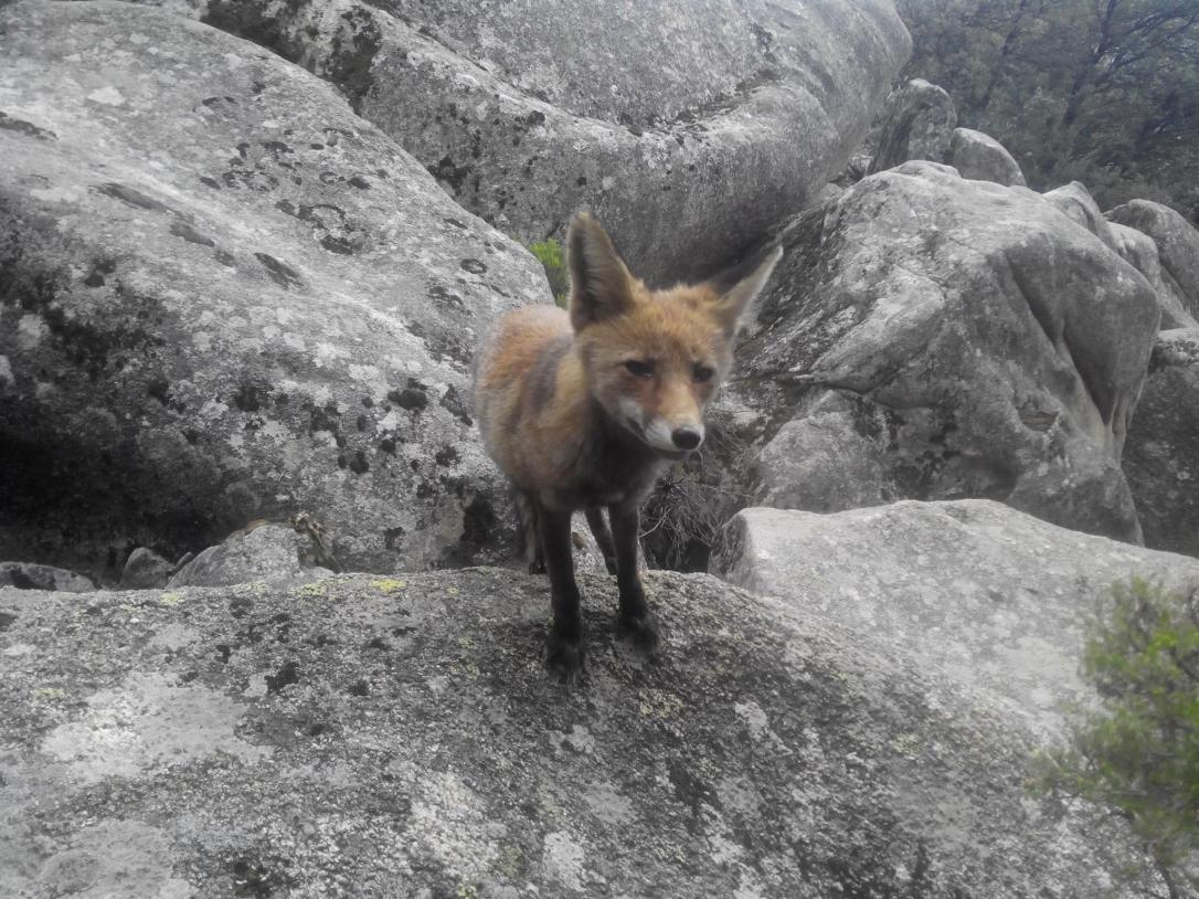 22219771_487650308287008_920029763228650417_o