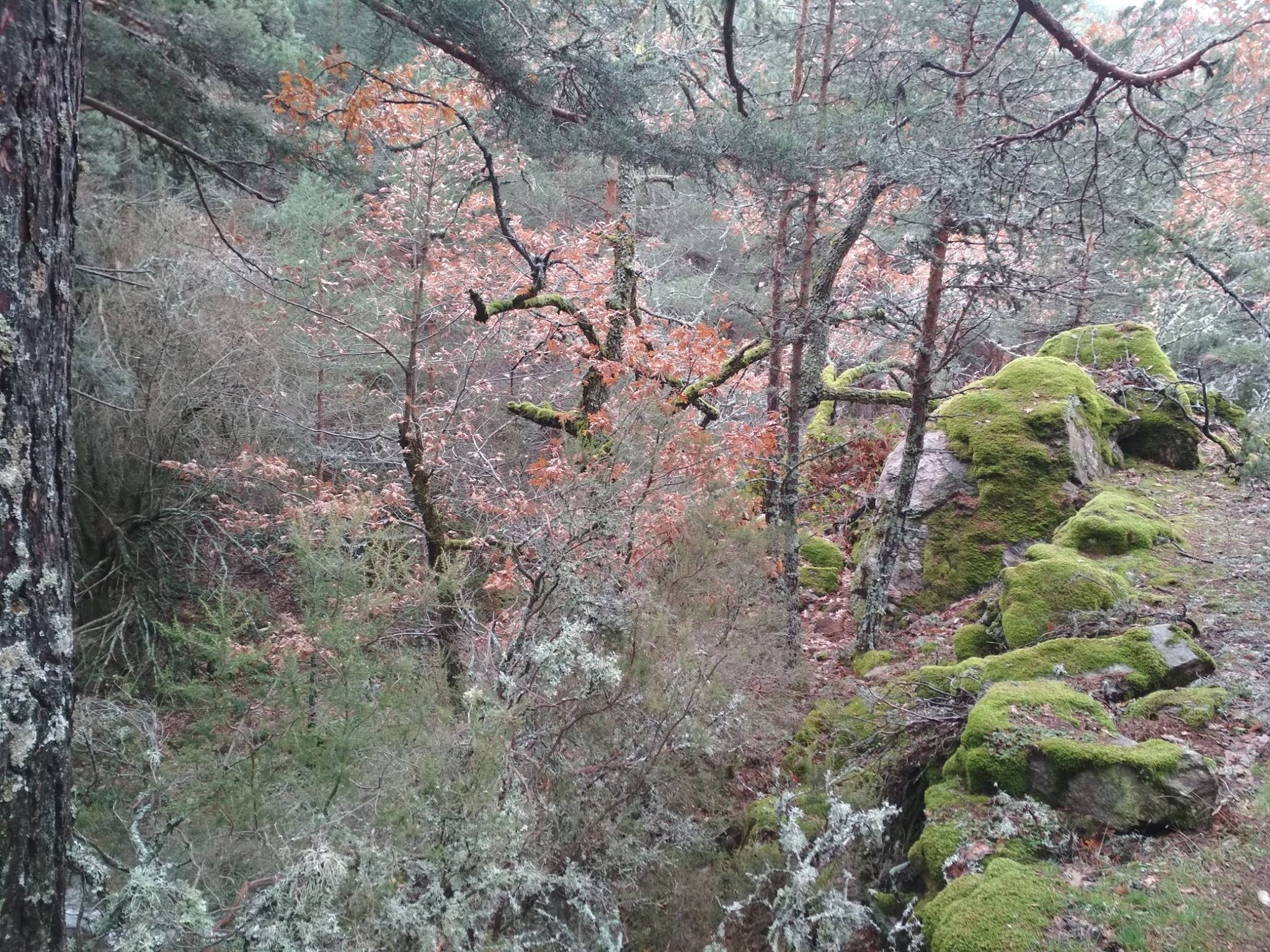 25398021_946085262183476_1576949938276704645_o