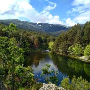 34268728_1077128159079185_3976068701576232960_o