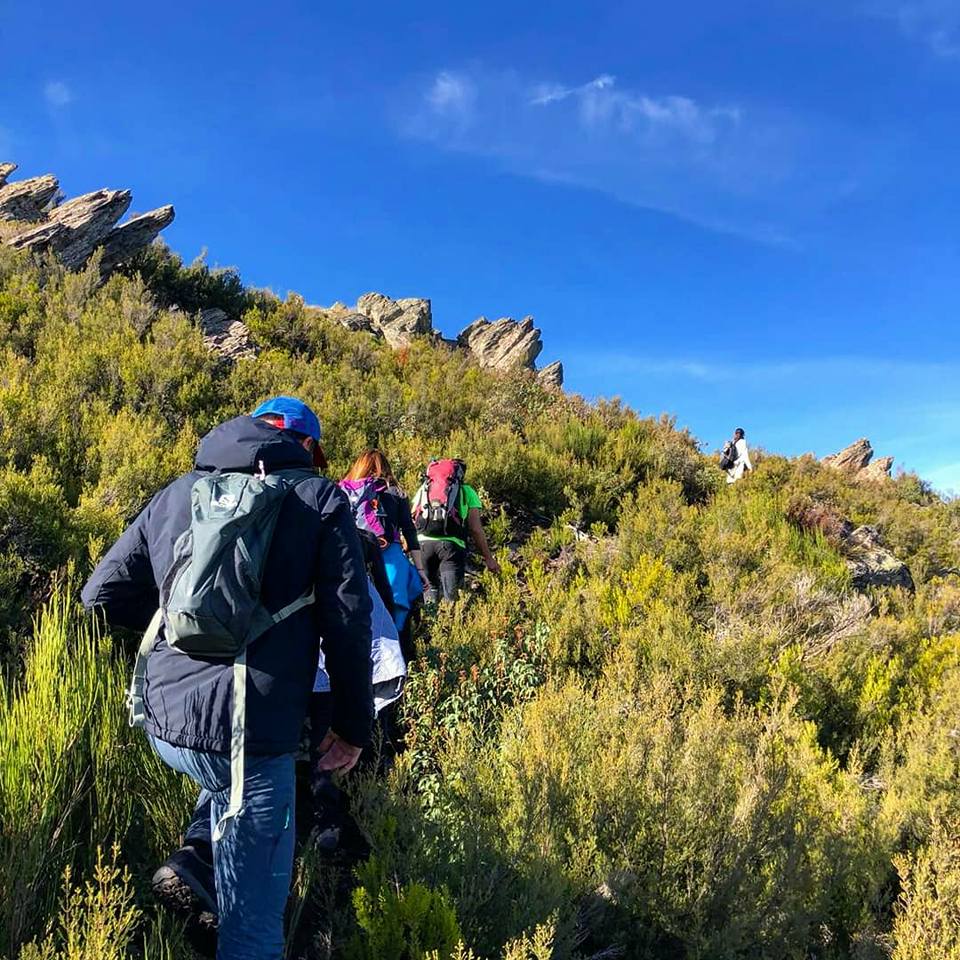 45292138_1259317390860260_1070844898623619072_n