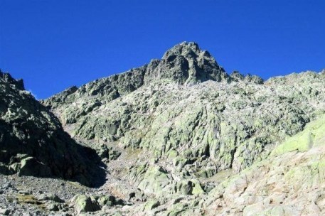 61848579_1527930153998981_695053320561098752_n