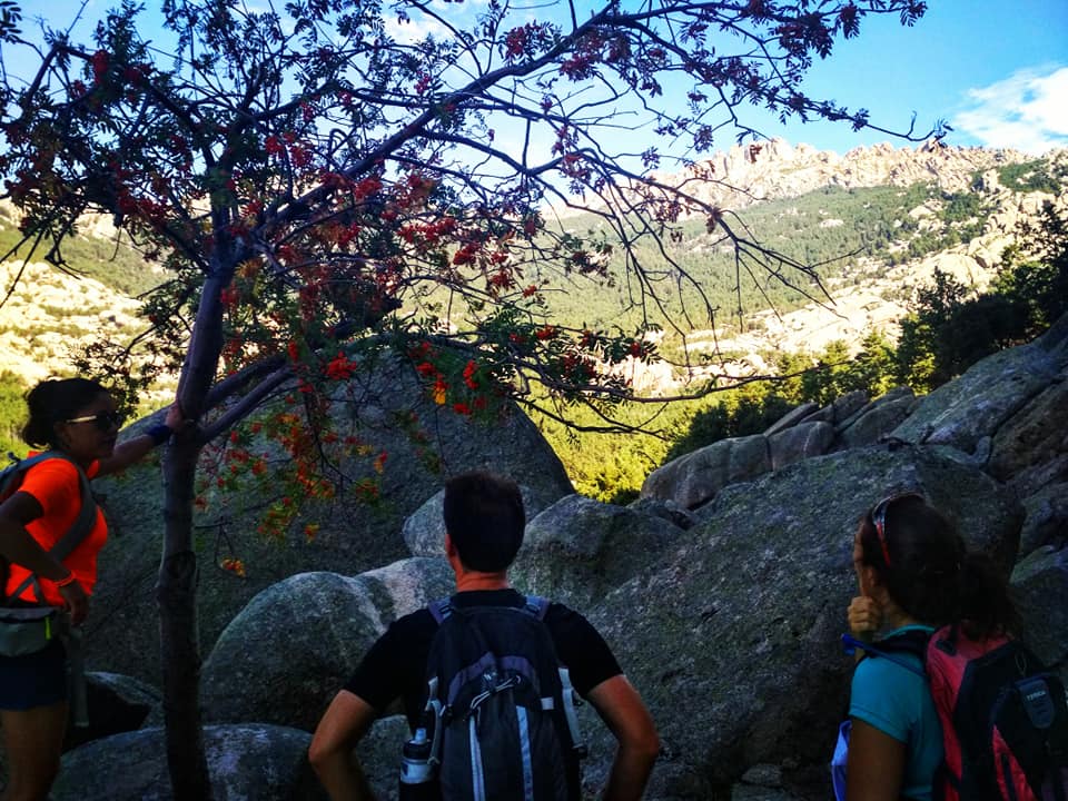 69044918_880940375624664_6620522895137308672_n